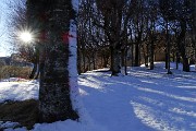 Anello Monte Zucco – Pizzo Cerro da S. Antonio Abbandonato l’11 febbraio 2016 - FOTOGALLERY